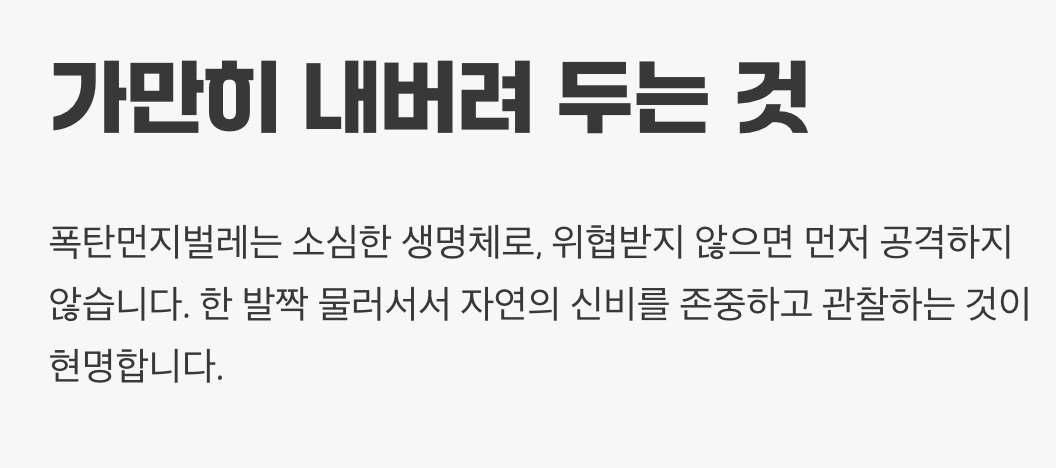 5. 마주쳤을 때의 현명한 자세