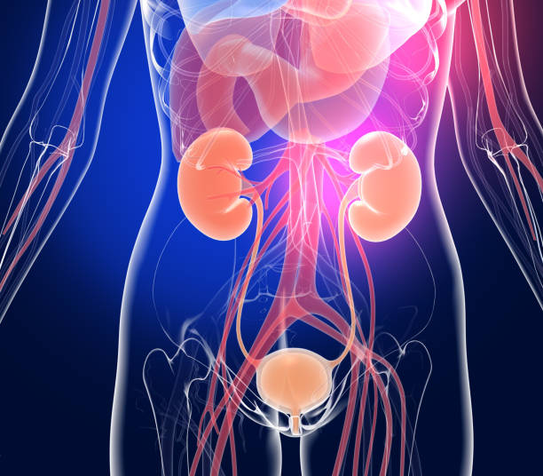 “대전 남성수술, 이것만 알면 걱정 끝! 수술 전 반드시 확인해야 할 7가지”