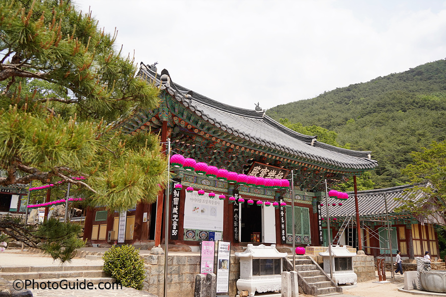 구례-천은사-포토가이드