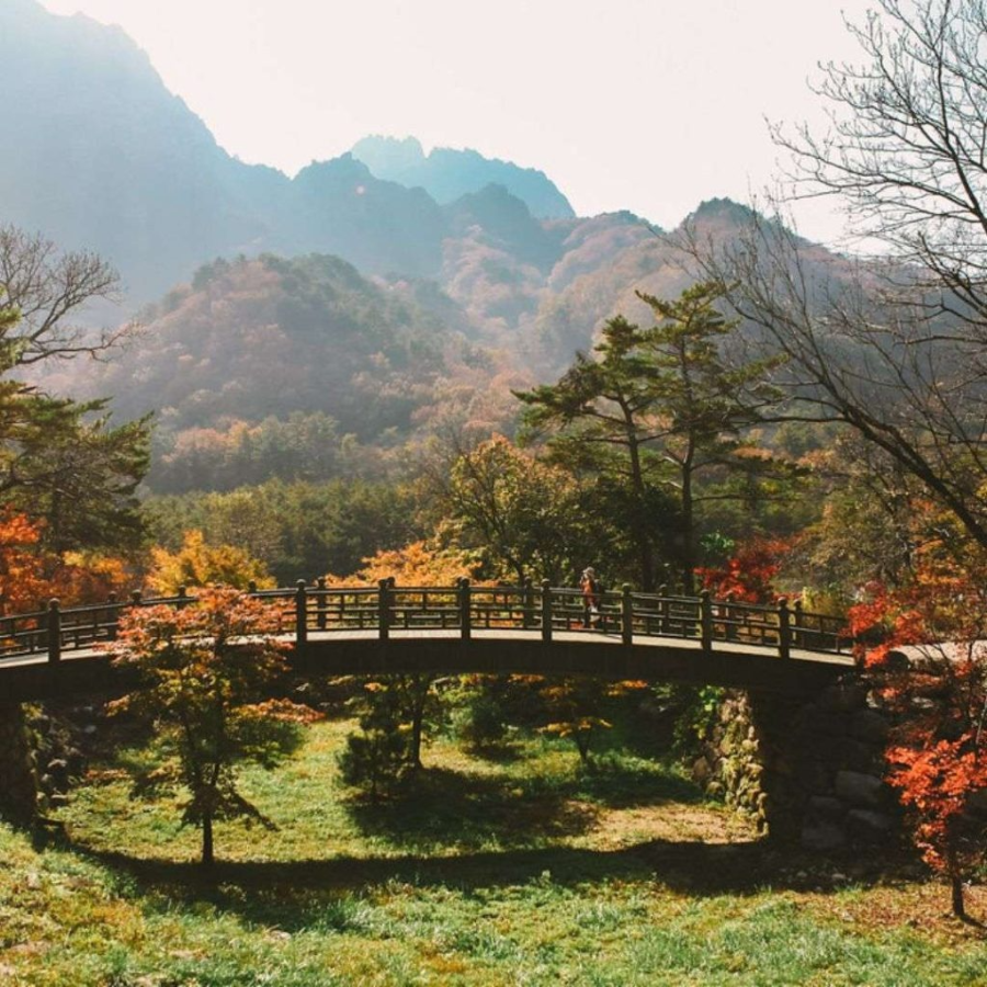 내장산 가을 단풍 여행 사진 촬영 꿀팁