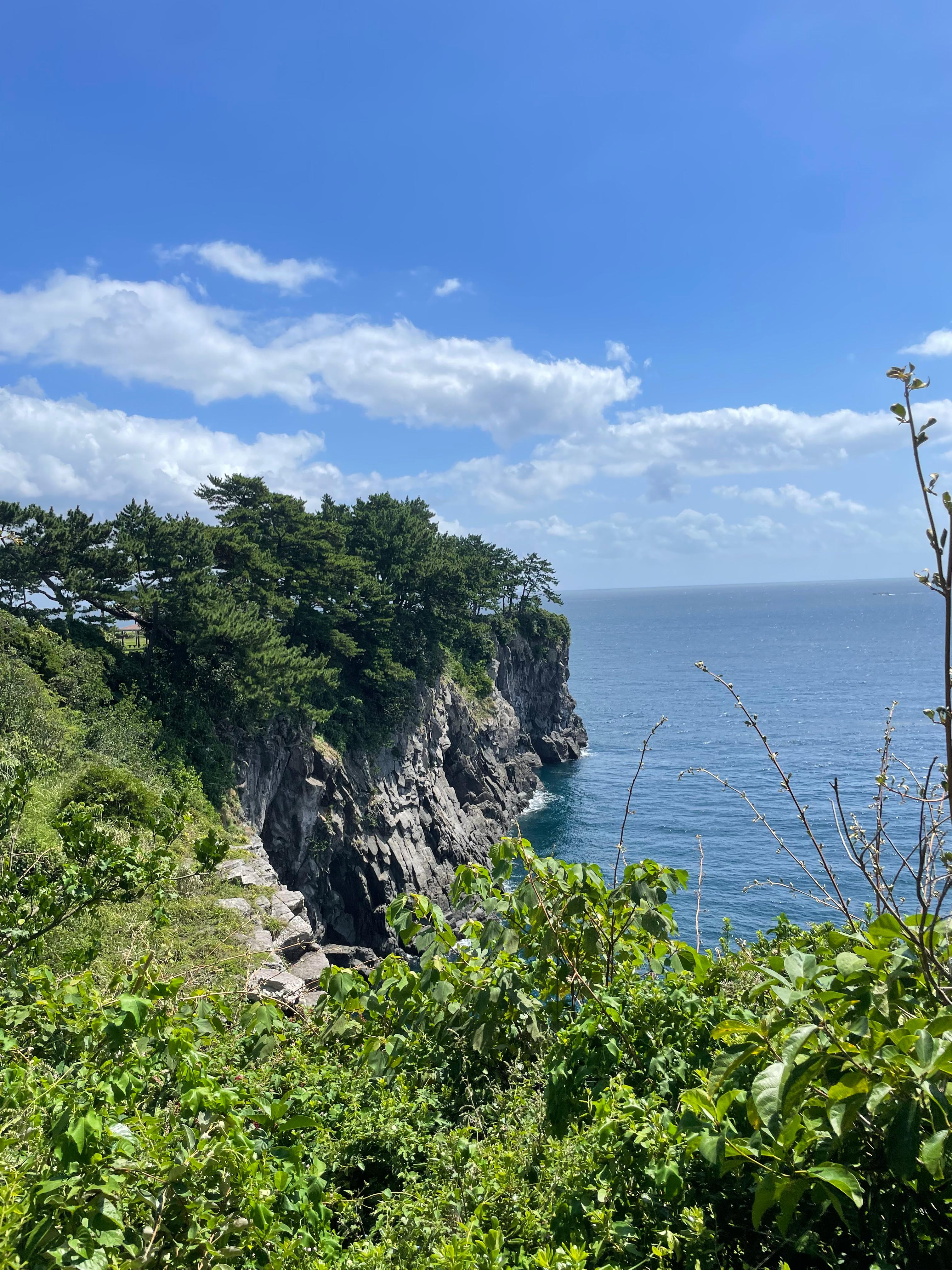 외돌개가 사라진 뒤에는 굴곡진 절벽과 짙은 제주 바다가 이어졌습니다.