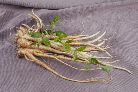 도라지 효능ㅣ도라지 부작용ㅣ도라지 섭취법 활용법