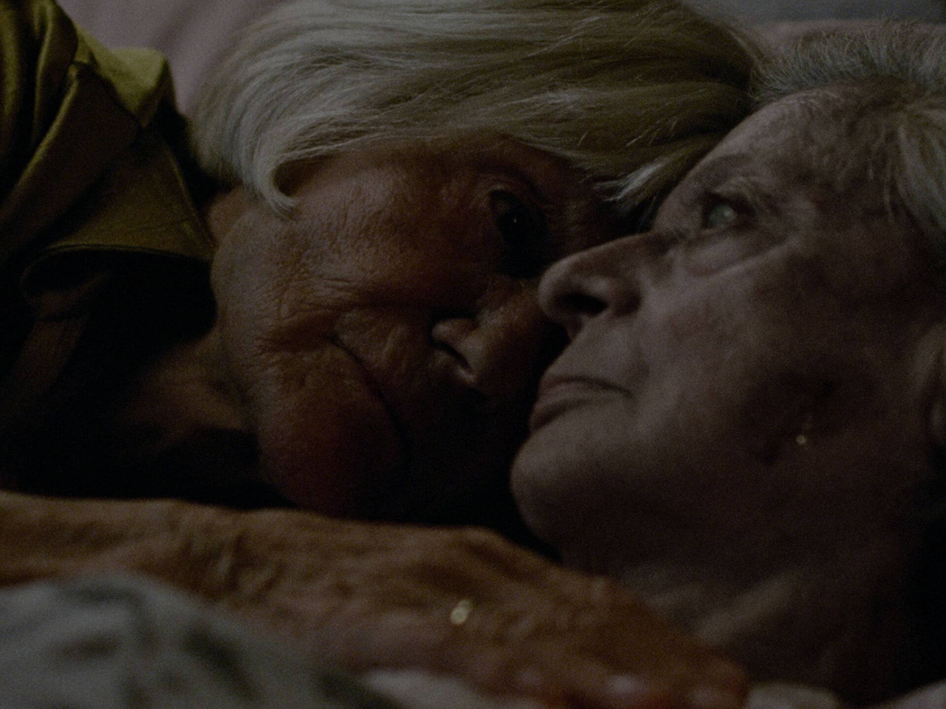 영화 언데드 다루는 법