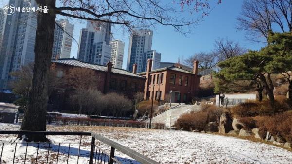 올림픽 우승 당시 수여받아 심었던 대왕참나무의 모습