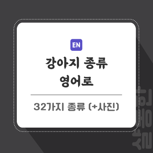 강아지-종류-영어로-포스팅-썸네일