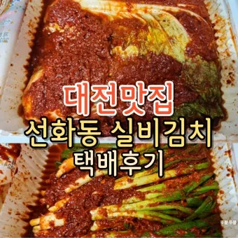 실비김치란 실비김치 뜻 정리 맛있게 먹는법_15