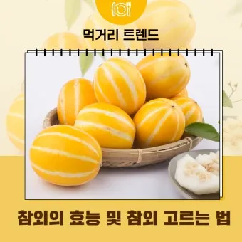 참외 효능 및 영양 정보 섭취 효과 정리_6
