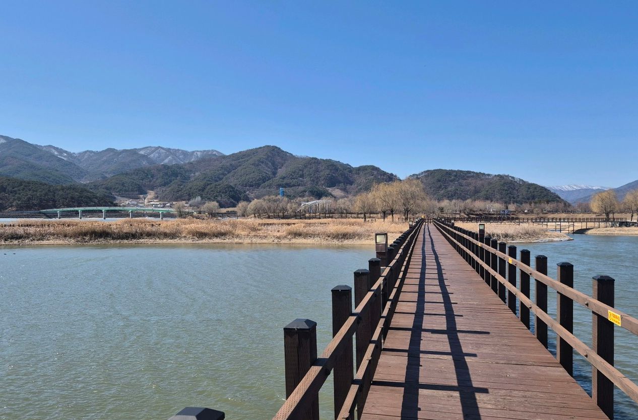 토마토축제 & 파로호