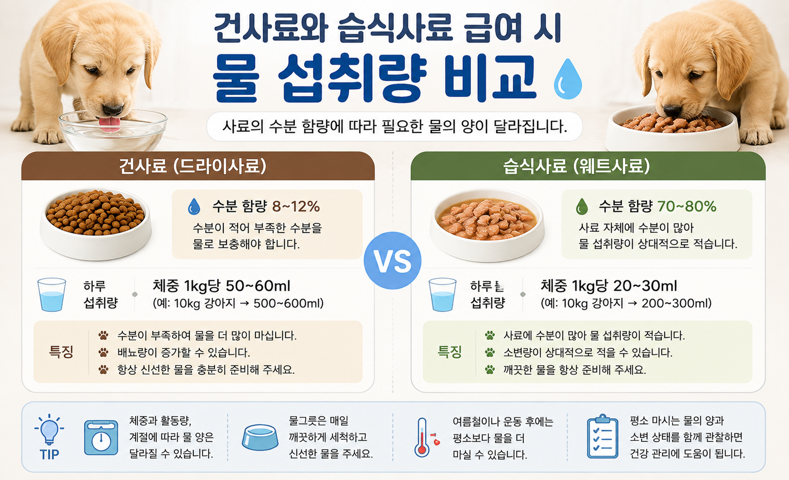 강아지 건사료와 습식사료 섭취 시 물 섭취량 비교 이미지