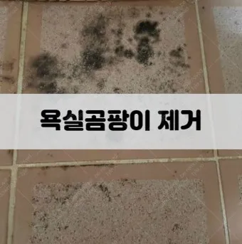 욕실 곰팡이 락스 희석비율과 안전수칙 환기방법_7