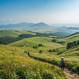 제주도 관광지
