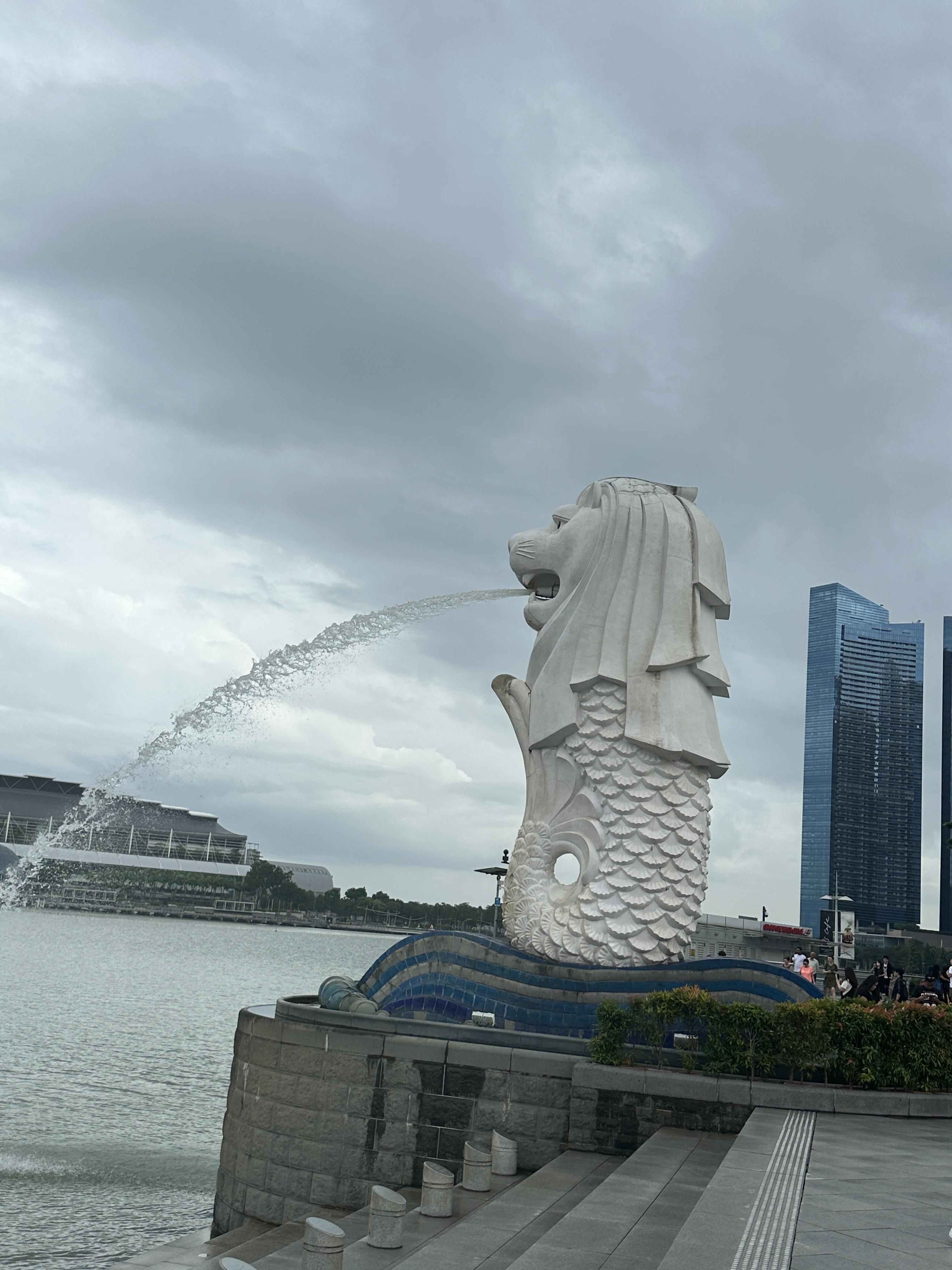 싱가포르 여행 준비하기(준비물 그리고 여행팁)