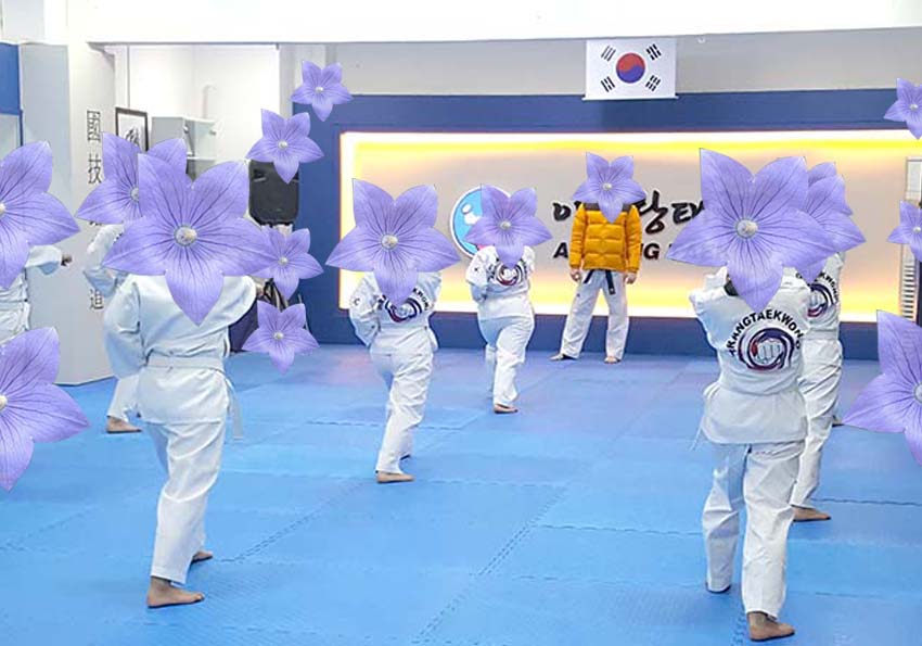 alt="도라지 꽃보다 태권도"