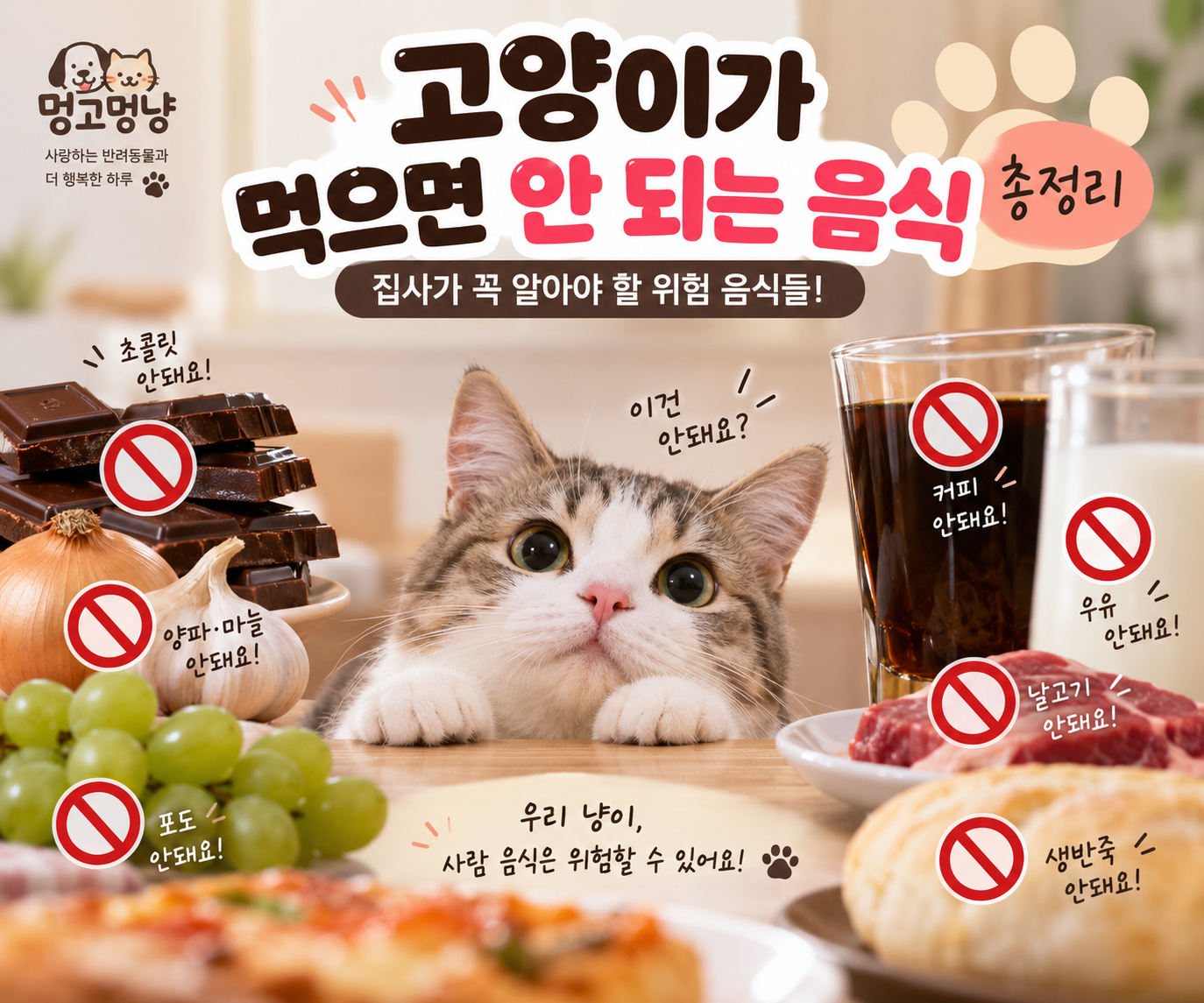 고양이 금지 음식