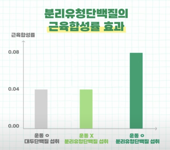 분리유청 단백질 근육합성률 효과 그래프 이미지