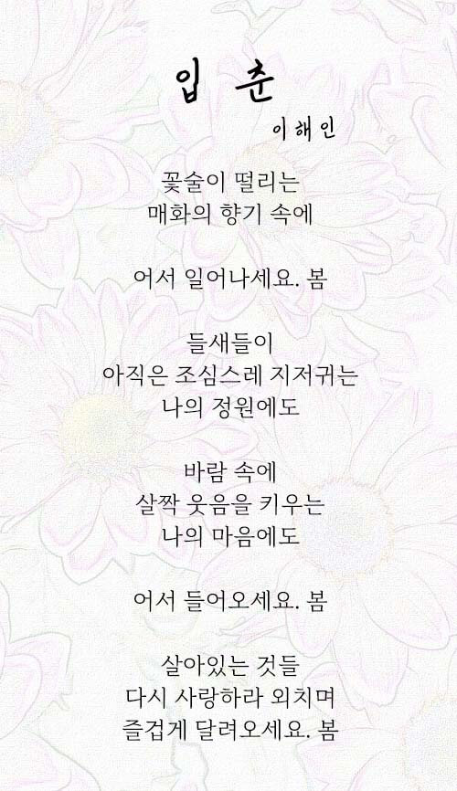 이해인
