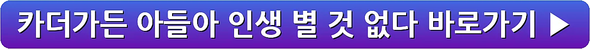 카더가든 아들아 인생 별 것 없다_2