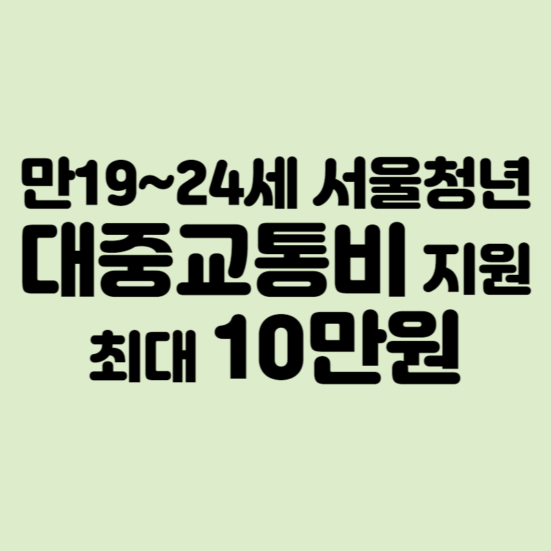 서울청년 대중교통비 지원