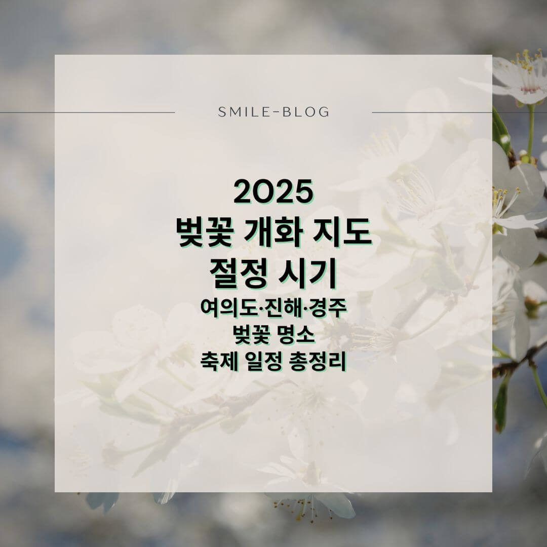 [2025 벚꽃 개화 지도 &amp; 절정 시기] 여의도&middot;진해&middot;경주 벚꽃 명소 &amp; 축제 일정 총정리