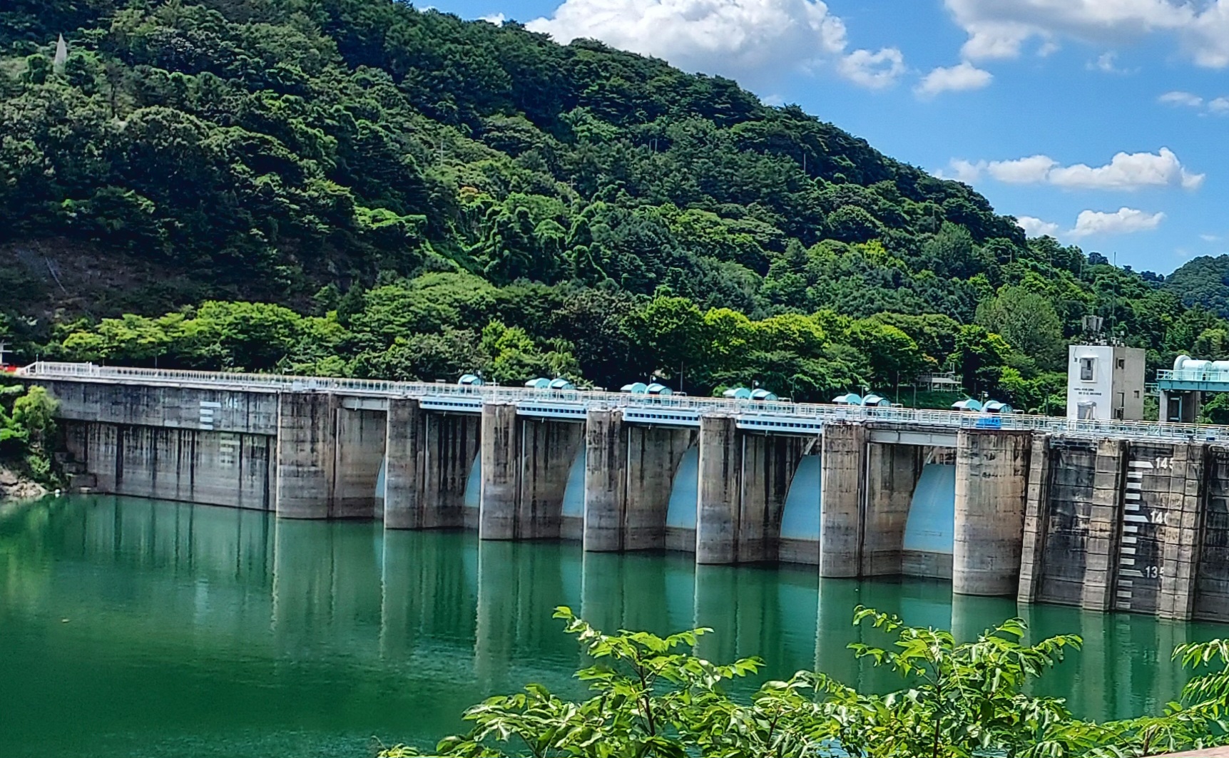 충주댐과 주변 산이 보이는 풍경