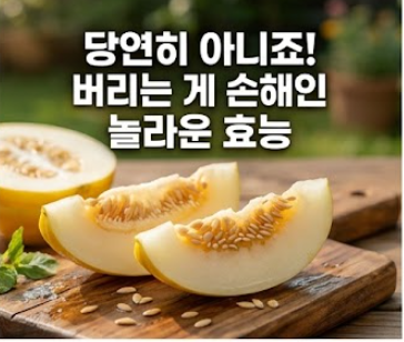 참외 효능