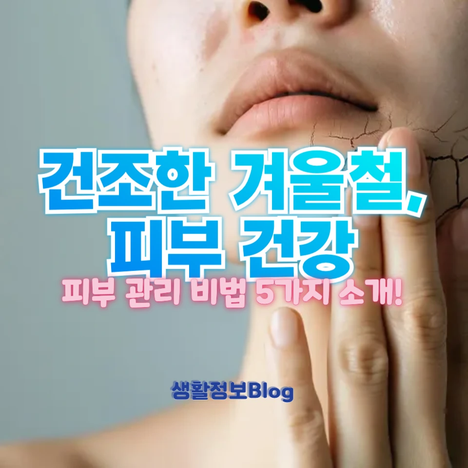 건조한 겨울철 피부 관리