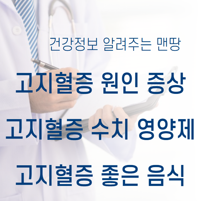 고지혈증