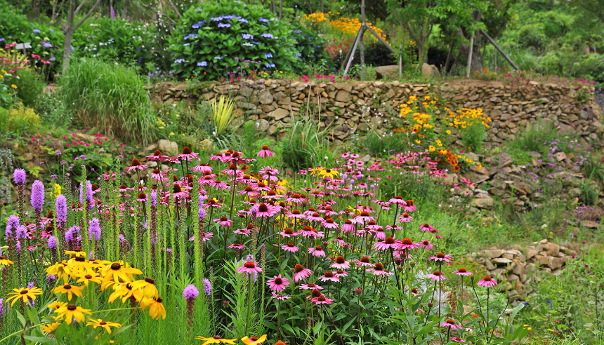 특색있고 아름다운 민간 정원 30선 추천 여행 - 10. 남해 섬이정원