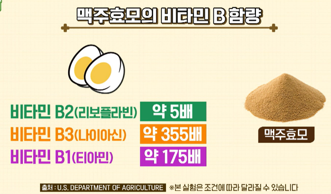 맥주 효모의 효능