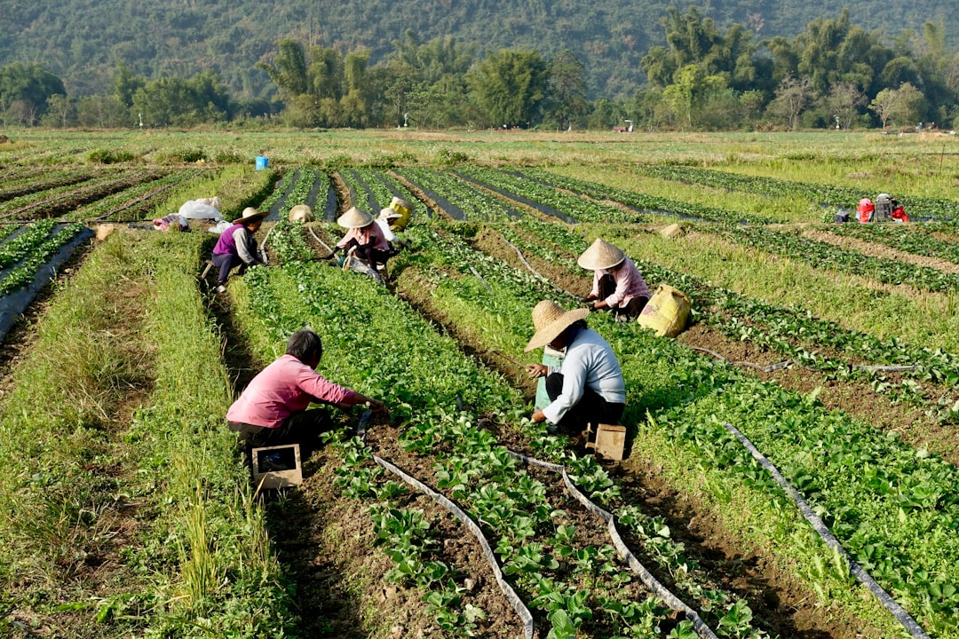 Farmers' allowance