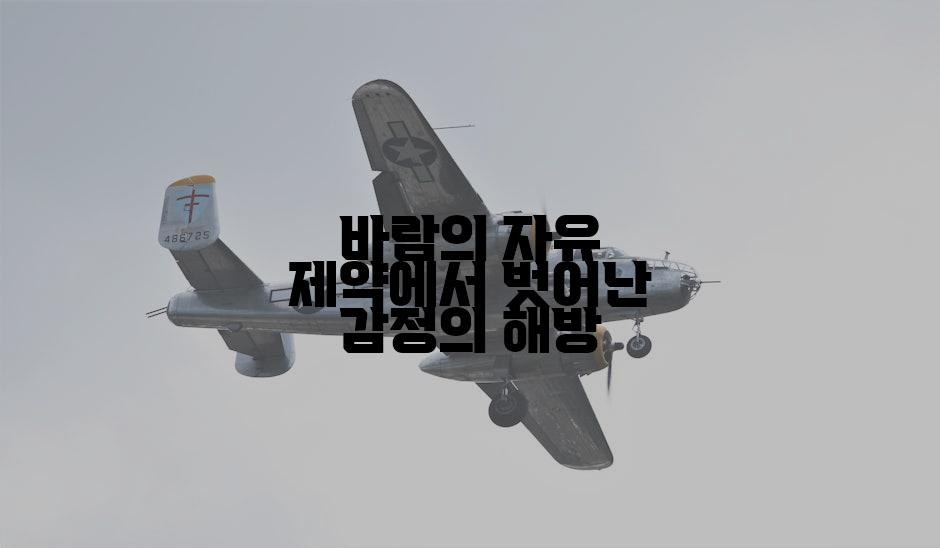 바람의 자유 제약에서 벗어난 감정의 해방