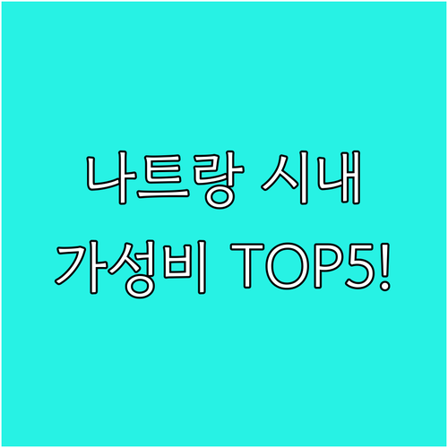 나트랑 시내 호텔 예약 가이드 위치 ..