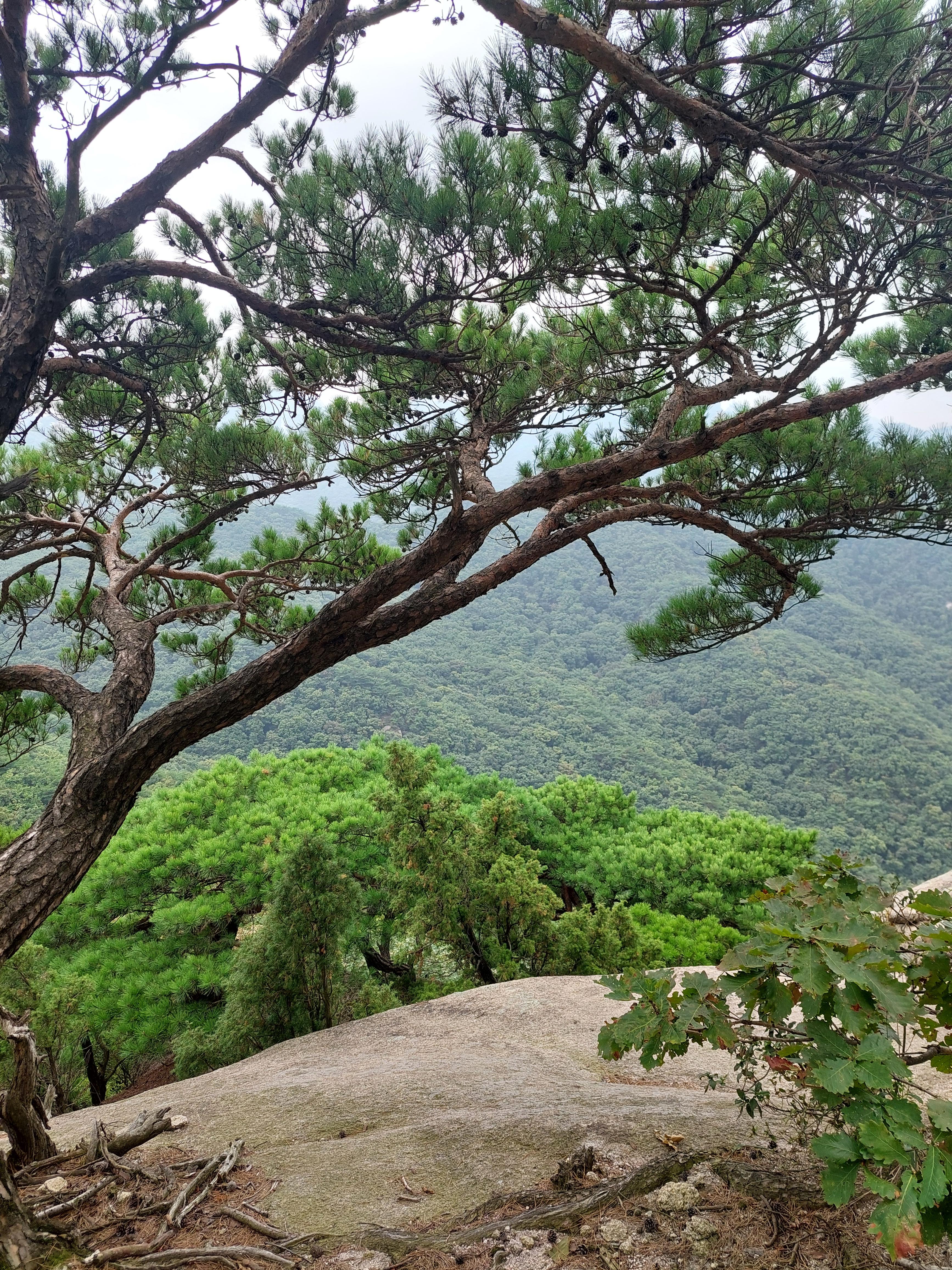 사패산