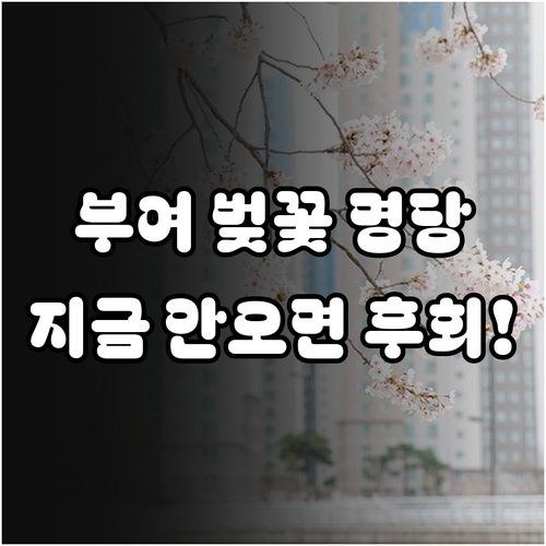 2026년 부여 봄나들이 벚꽃 시기와..