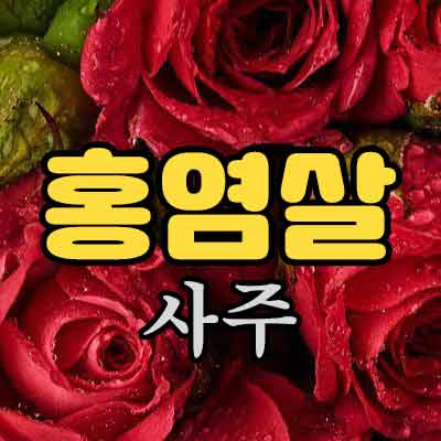 홍염살 사주