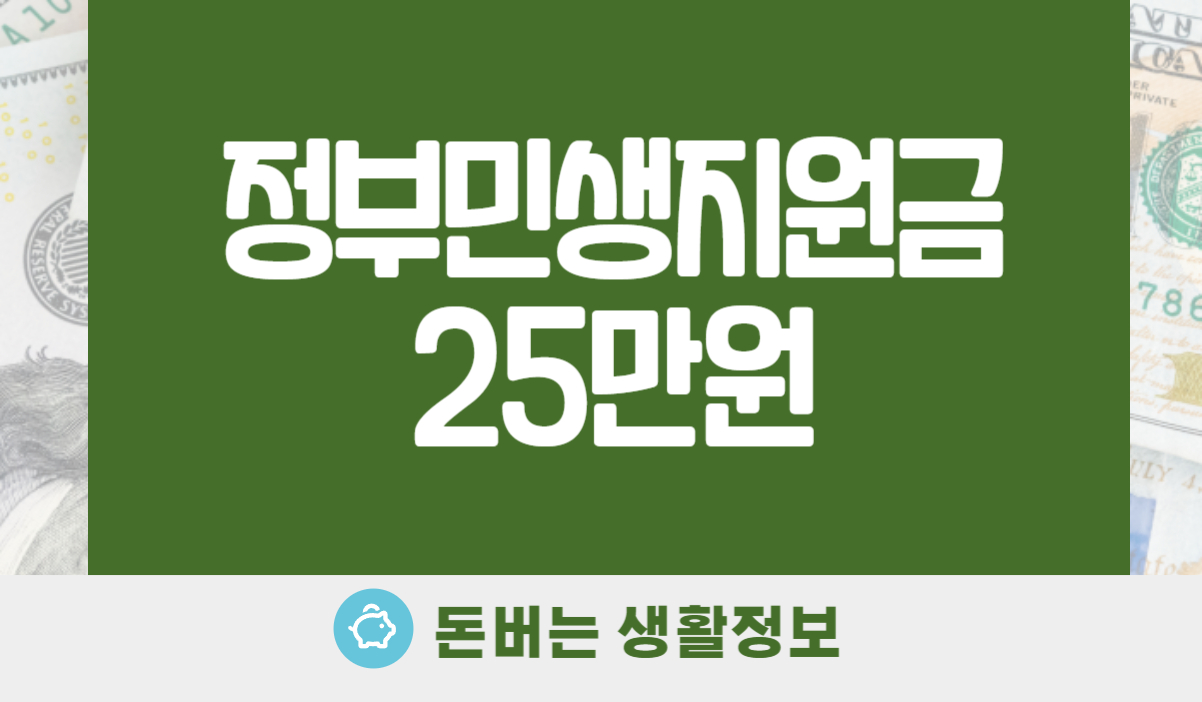 정부민생지원금 25만원