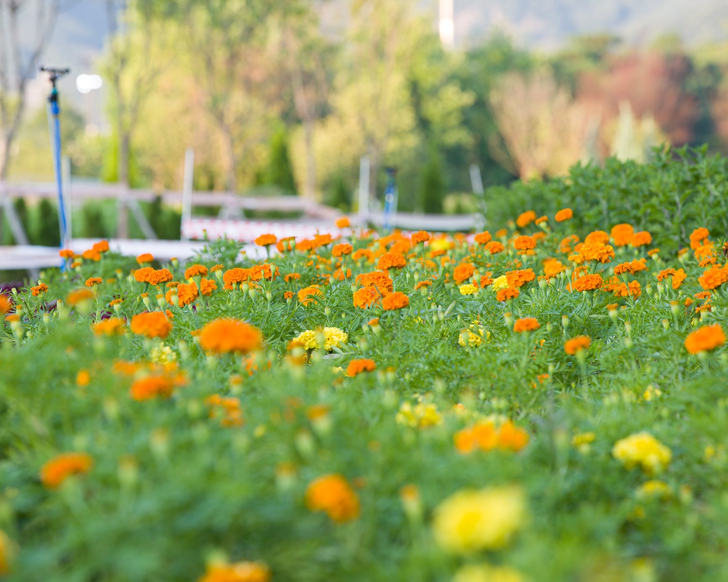 구리 한강공원- 32