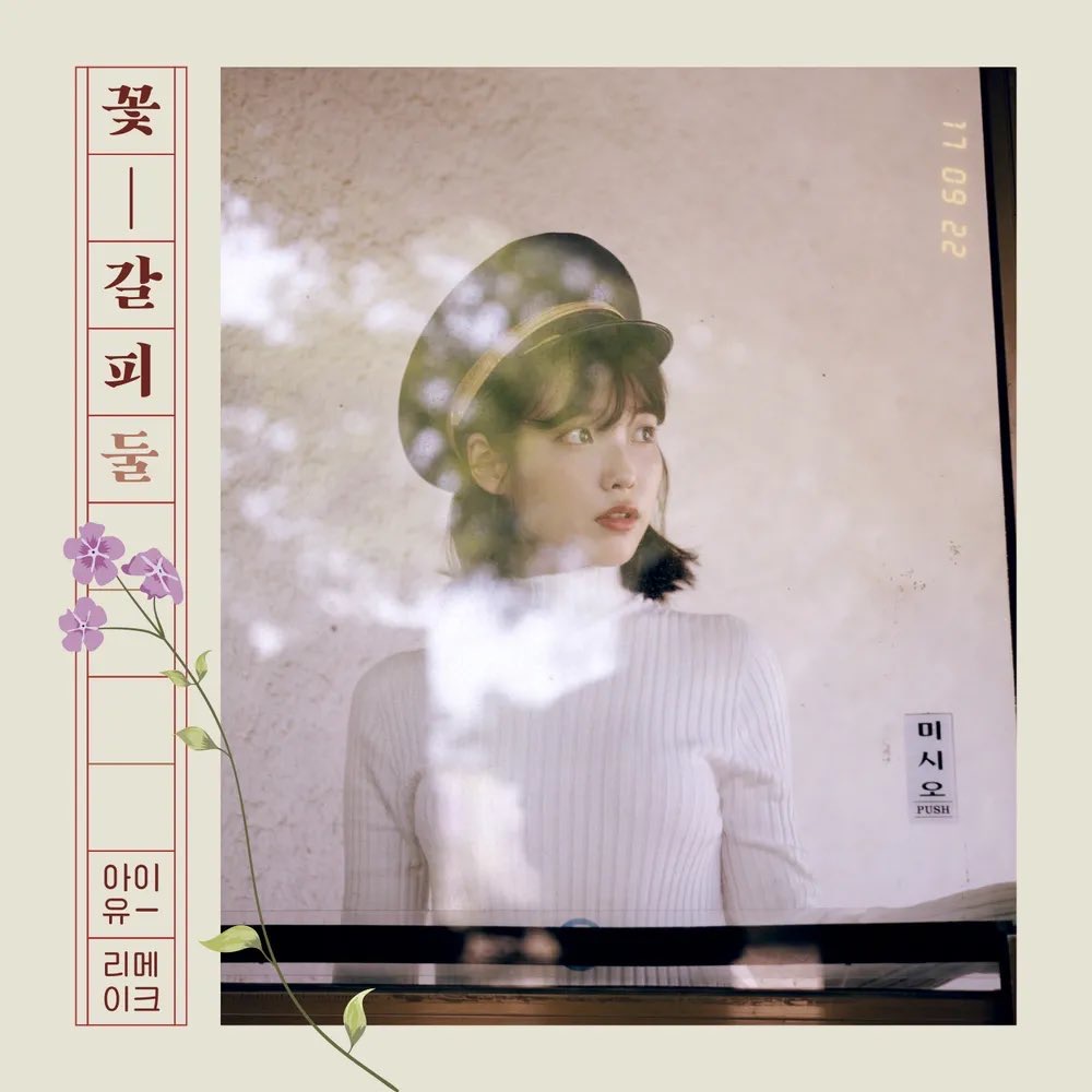 꽃갈피둘