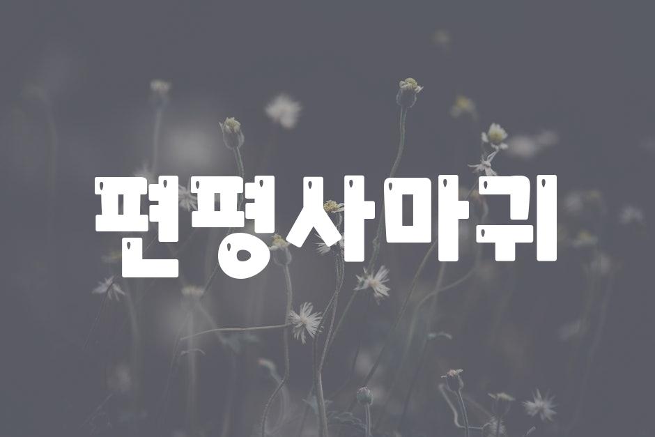 샘플 (46)