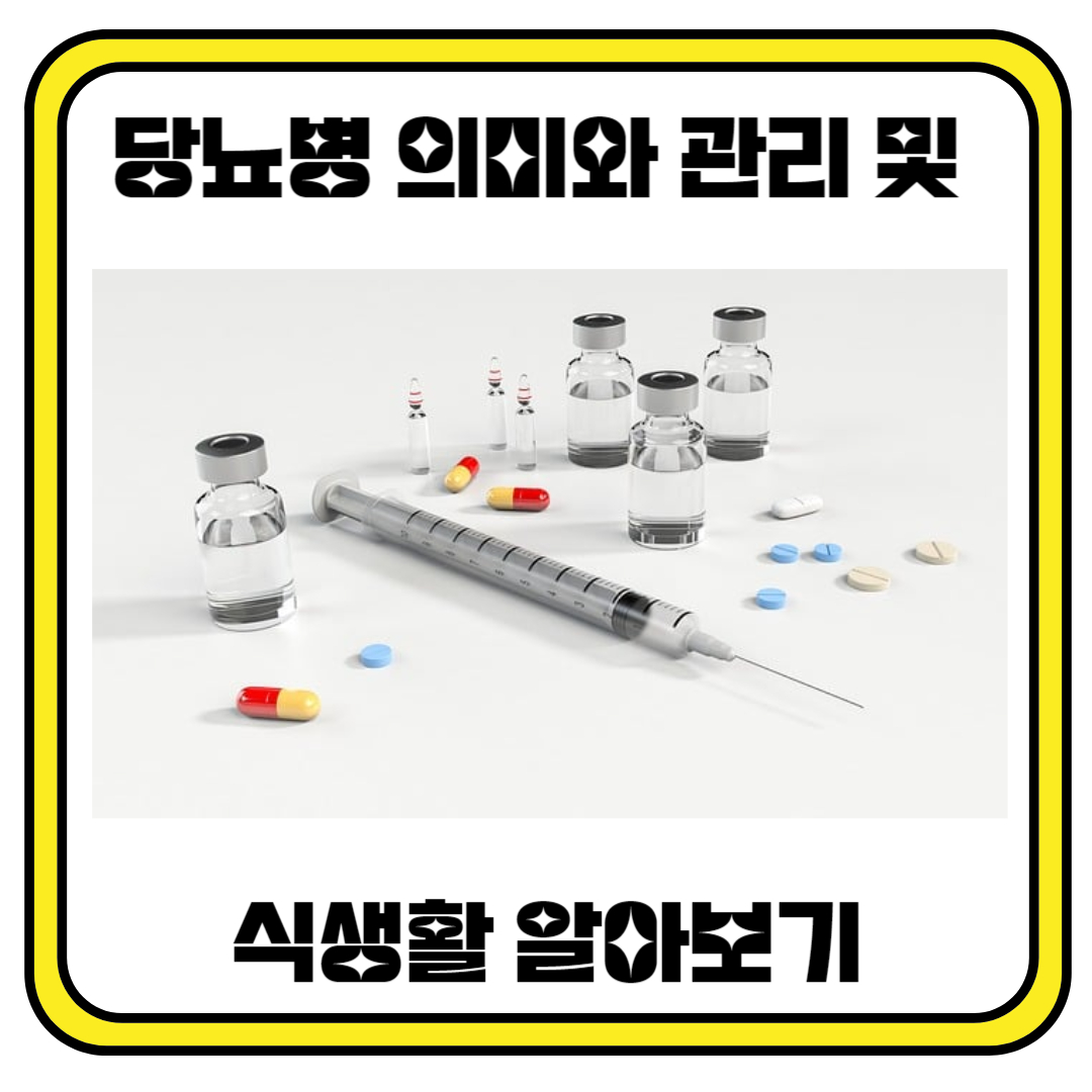 당뇨병 의미와 당뇨병관리와 식생활