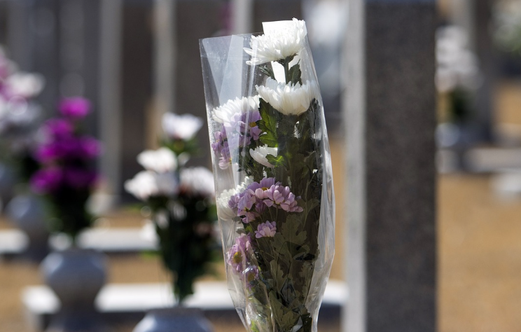 국가유공자 관련 이미지