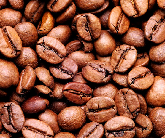 아라비카와 로부스타의 외형 및 크기 차이