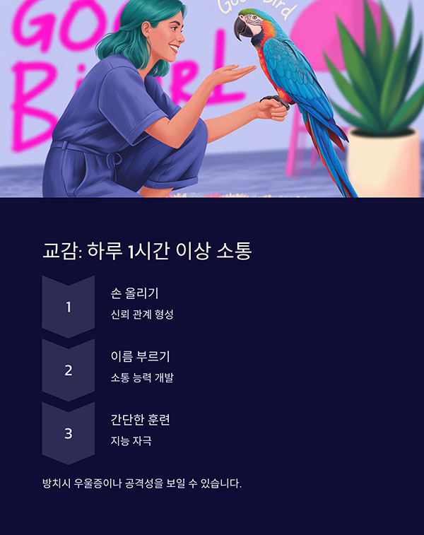 감정 교류와 훈련 필요성