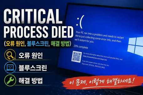CRITICAL_PROCESS_DIED 오류