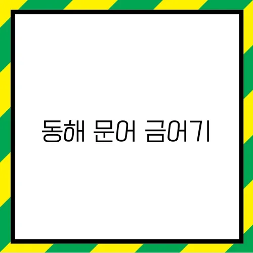 동해 문어 금어기