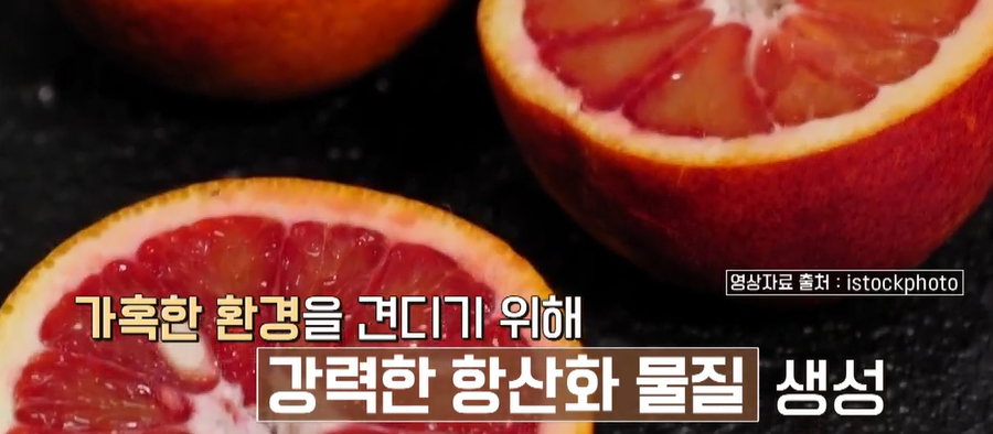 모로실
