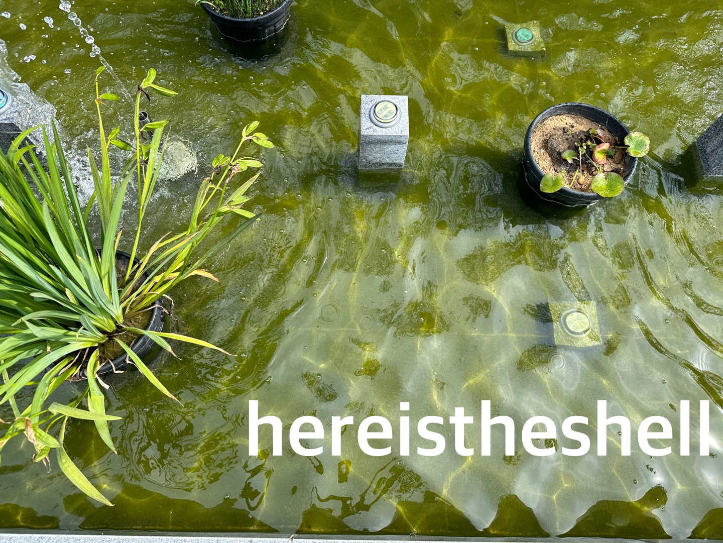 충청남도역사박물관