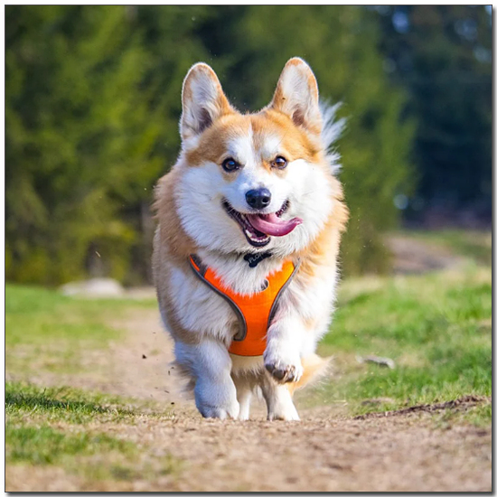 ๋ฐ์ด์ค๋ ์ฐ์์ฝ๊ธฐ