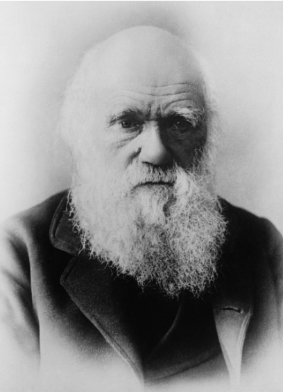 찰스 다윈 : 진화론으로 세상을 바꾼 자연주의자의 모든 것