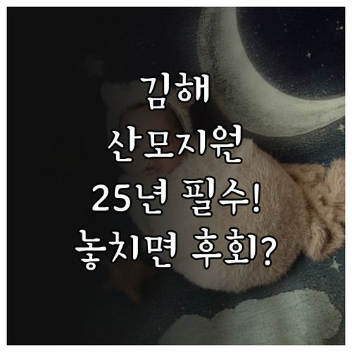 김해시 서부 2025 산모신생아 건강..
